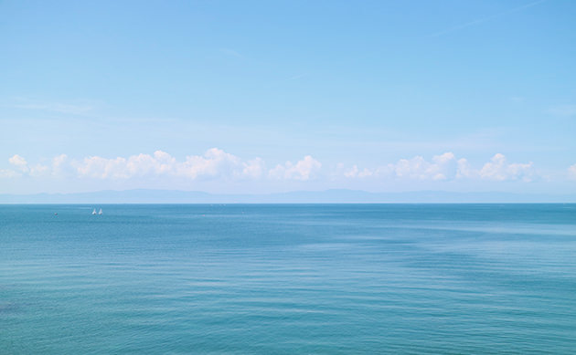 おおすみの自然